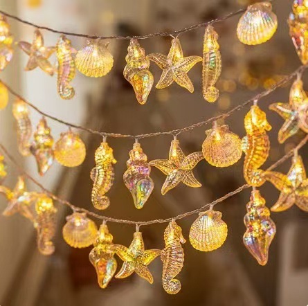 Concha de concha de estrella de mar