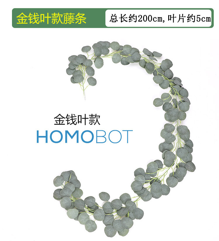 尤加利藤条