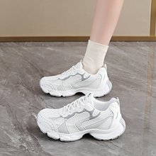 2025���¿��ﶬ���\���L�WԺ��Ь�͹ŕr���ϵ�Ь���e�ٴ�ϵ������