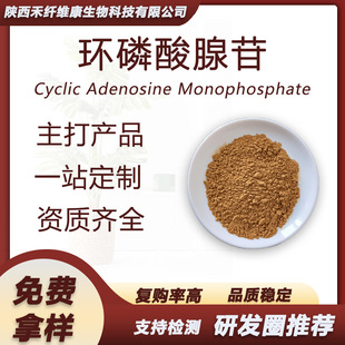 �h��������0.3% �t����ȡ��CAMP �󗗭h��������1�K���ۺ��w�S��