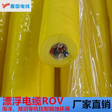 Ư|ROV 6*0.5㸡ĥ͸gaS