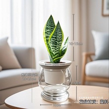 ��߅��Ƥ�m���ԾGֲ�k���҃������ݗ�����ռ�ȩֲ������