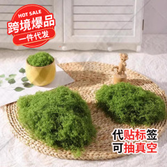 擬似糸状コケ芝生人工偽コケ景観配置緑植盆栽盆栽装飾毛糸コケ