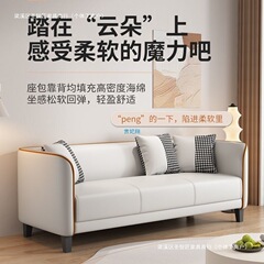 沙发小户型出租屋小沙发轻奢客厅家用简约现代公寓双人科技布沙发