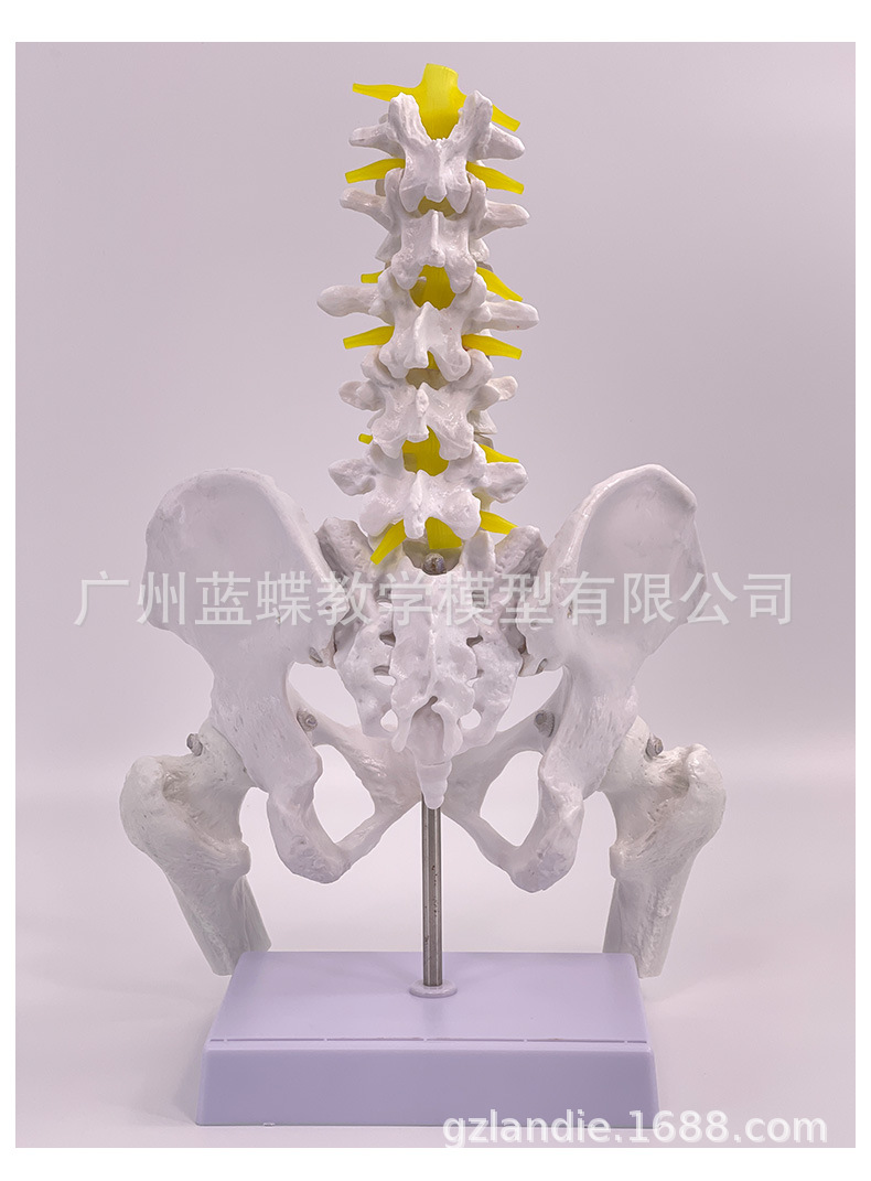 详情_20