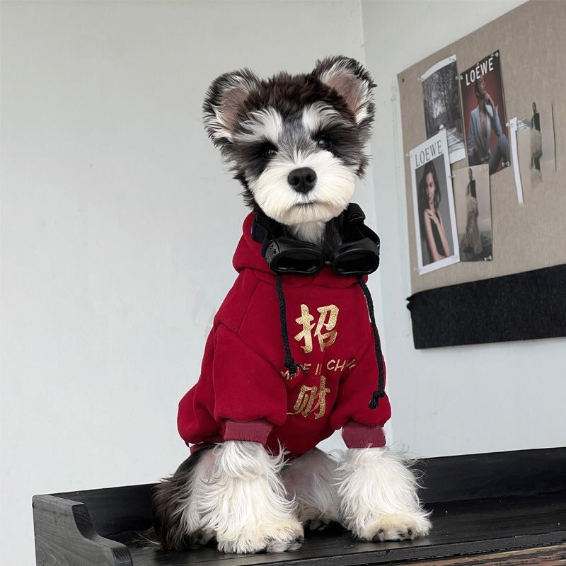 Clothes Dog Winter Clothing Small Dog Schanery Teddy Bomei New Year Warm New Year Festive fleece-lined Thickened Sweatshirt