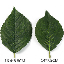 ~l~Gɫ~ӼҾb  G~տ~ֹ