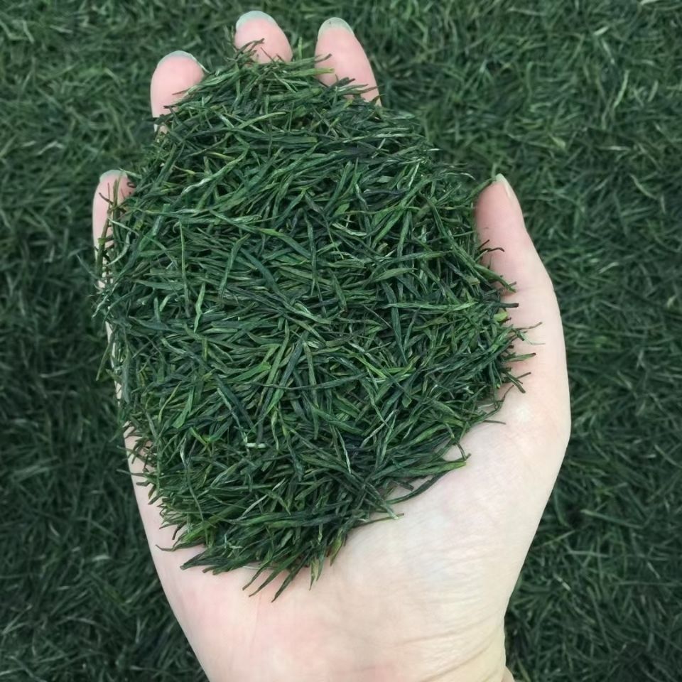毛尖茶2025新茶叶四川高山手工茶云雾茶明前正宗嫩芽春茶绿茶批发