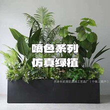 ��ɫϵ�з���Gֲ����֦�~ɭϵ��Y��c�Gֲ���ű��������쾰�Gֲ