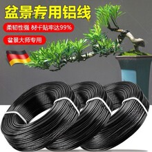 �辰�����X�z���È@ˇ�F�z�X��������ͻ���ֲ���������Խz��