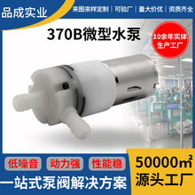 车载饮水机370B微型水泵浇花器消毒器足浴盆真气液两用隔膜吸水泵