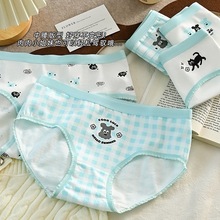 内裤女卡通猫狗印花学生初高中生软妹可爱甜美少女日系韩版ins风