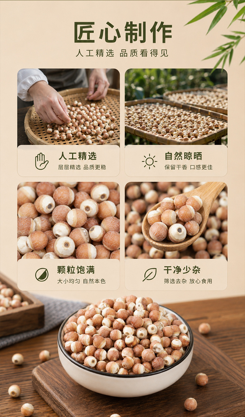 9mm Dried Gorgon Fruit Qian Shi Euryale Ferox Seeds 250g for Congee and Soup key features