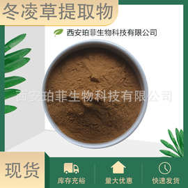 冬凌草提取物30:1高比例多规格萃取水溶冬凌草萃取粉珀菲现货供应