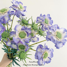 ��Ʒ�|���x�� ������ 3�^�߼����{�軨�Ĕz���߿͏d���һ�ˇdiy