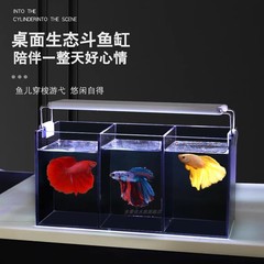 桌面创意多格缸超白玻璃缸黑玻防打架促使发色免换水斗鱼连体缸