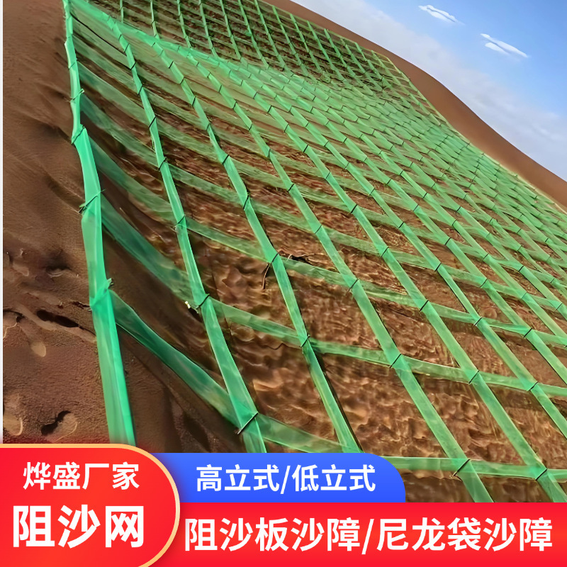 Supply of Low Vertical Sand-Fixing Nets, Polyethylene Windproof Sand-Fixing Nets, Desert Sand-Blocking Fences, Low Vertical Sand Barrier Manufacturers