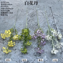 �¿��c���滨���Q�S�� �׻��� ���ǻ��黨��c·�������ٻ����l