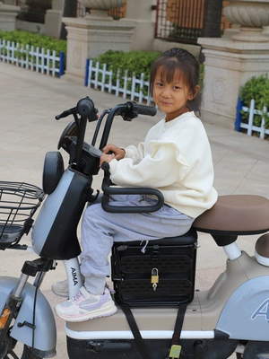 Electric Motorcycles, and Baby Seats, Electric car child seat