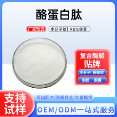 カゼインペプチド ミルクペプチド 500DaI カゼインペプチドパウダー 500g/パック 原料 粉末 即納