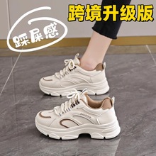 羳ϵЬŮeЬ2024ﶬ¿\ܲЬinsٴ