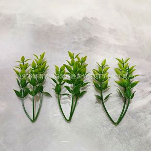 ����ˮ�� �P���ֲ���辰�������ϻ���ƺ�ݾvֲ������ˮ�����