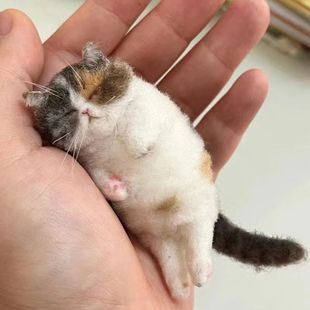 Wool felt poking cat handmade material bag simulation novice friendly creative animal couple