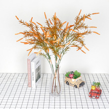 �S��ֱ�N������β�ݾG�������b�������K����@�b�Ʒëë�����l