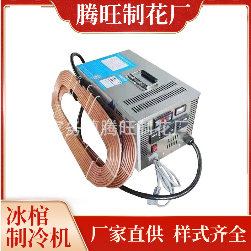 Wholesale Portable Ice Coffin, Crystal Coffin Refrigeration Machine,  Freezer, Freezing Plate, Smart Ice Plate, Funeral Supplies