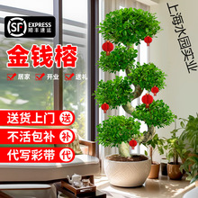 ���X�Ŵ������҃ȓu�X��͏d�k���ҽ��X������辰�lؔ���ļ�