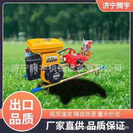 担架式打药机图片 汽油打药机厂家 担架式喷雾机出口
