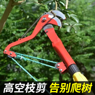 ��s��֦��ժ�����߿ռ�����֦�����߿���֦�����޼���֦�@�ֹ���