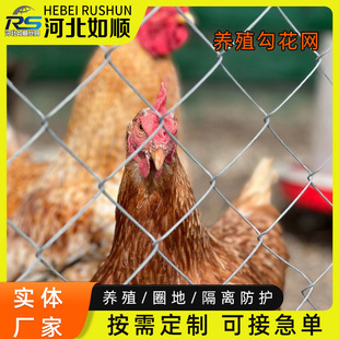 �S�ҟ���\���ι����W������W���ܸ��x���o�BֳȦ���F�z�^�W����