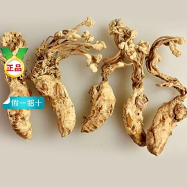 其他药食同源;花果茶;其他香辛料