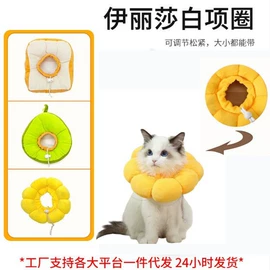 猫猫玩具;猫抓板;宠物项圈