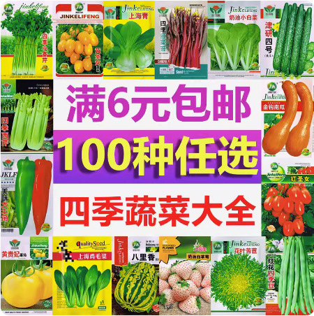 蔬菜种子庭院阳台农家盆栽原装四季播种香菜番茄辣椒水果种籽子孑