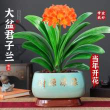 ��������m�����҃ȿ͏d���F�Gֲ�A�^���Ї��������ļ����B����