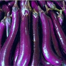 云南西双版纳新鲜茄子紫红茄子农家露天种植现发1/3/5/10斤包批发
