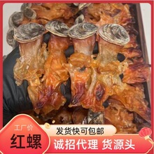 ����������^���������^����^�����t�ݎ�����ݸ�؛500gһ�����l