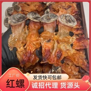 ����������^���������^����^�����t�ݎ�����ݸ�؛500gһ�����l