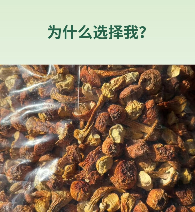Dried Agaricus blazei Mushroom Slices Ji Song Rong 500g Edible Dried Mushroom for Soup and Tea key features