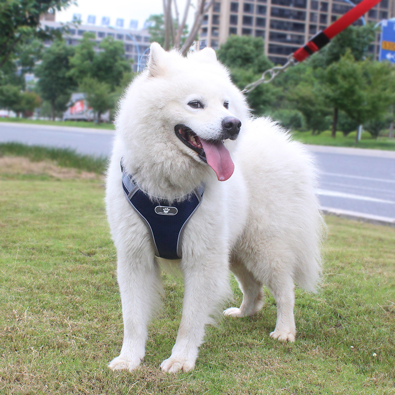 Nuevo Chaleco De Malla Transpirable Tipo Arnés Reflectante De Pecho De Perro Grande display picture 6