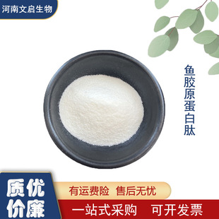 ��L�~�~�[�zԭ���� �~Ƥ�zԭ���� �~�zԭ���� �~�zԭ������