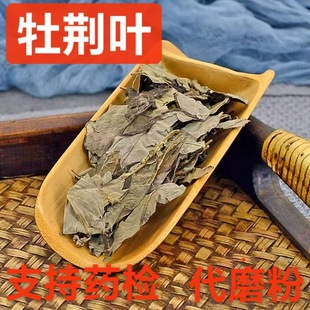 ��ș�� ĵ�G�~ �S�����~�S�G���~ ľ�G�~ �S�G�l �G�l�� ��ָ��