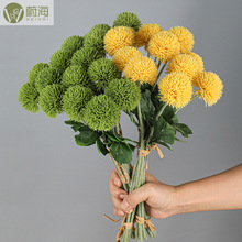 ���滨�ܽ�ëë��7682�ѹ�Ӣ��ֲë�ٻ��Ҿ�װ��6֧/��ƹ�Ҿ���