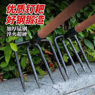 䓰Ҷ��X���Ӷ��X���X���X���s�������ټt���������ݼ���ץ�h����