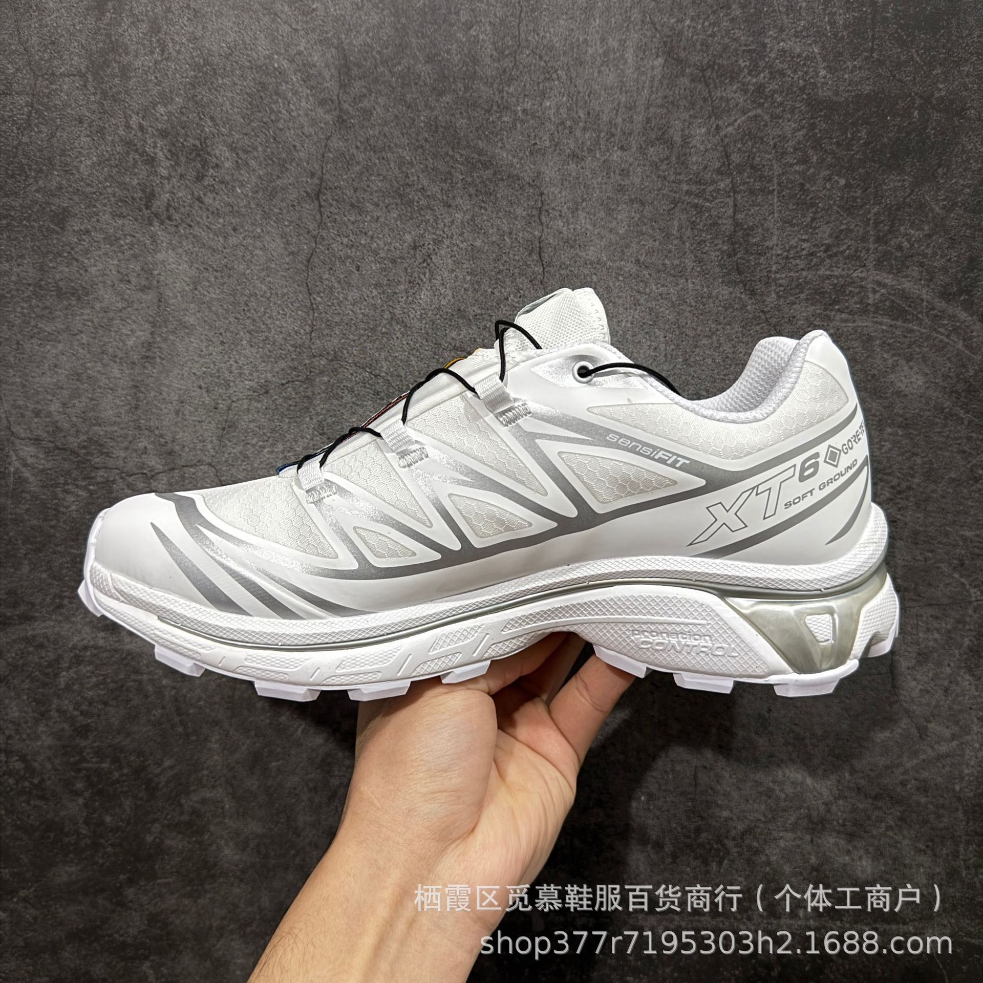 XT6 Silver