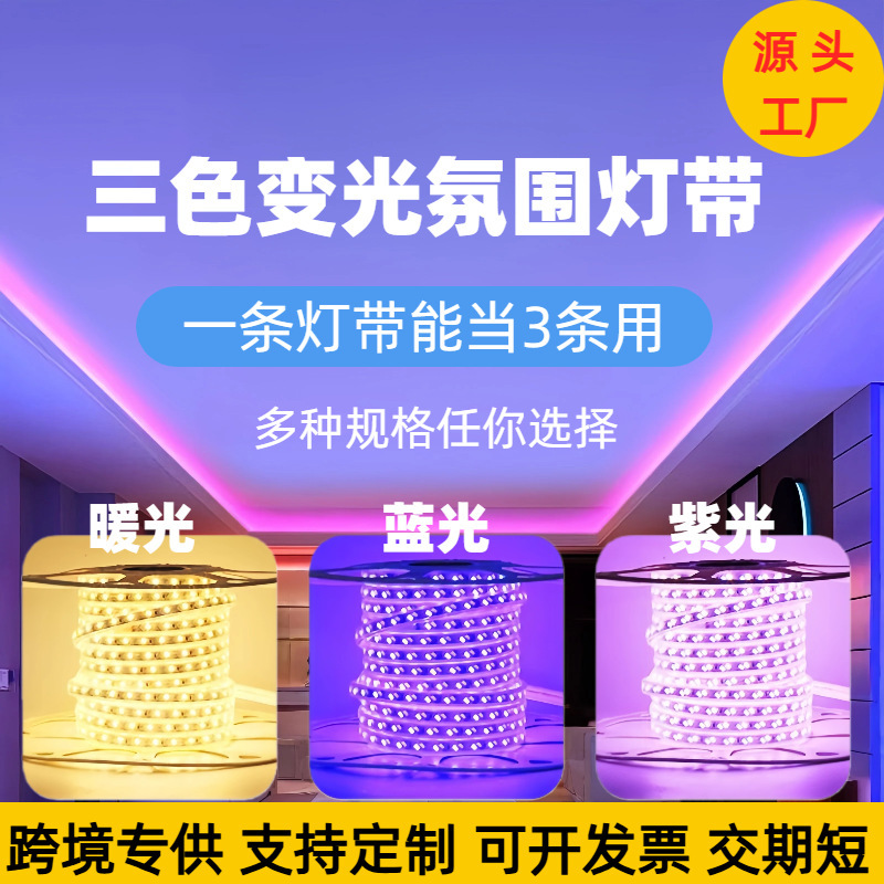 Led Three-Color Dimming Light Strip for Export, 220V Indoor Ceiling New Year Atmosphere Super Bright Outdoor Waterproof Light Strip