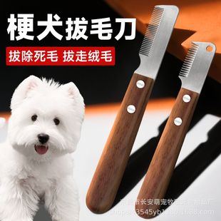 ��Ȯ��ë������ë�������ߵ،����������b��ë����ȥ��ë��ë