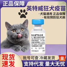 宠必威宠必威荷兰英特威狂犬病灭活疫苗犬猫用狗狗猫咪宠物用批发